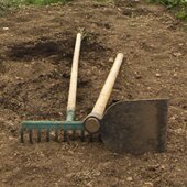 Huerto ecológico