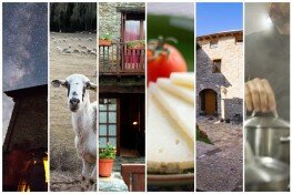 Flavours of mountain